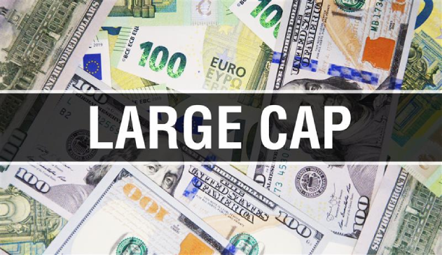 A Guide on Large-Cap Portfolio